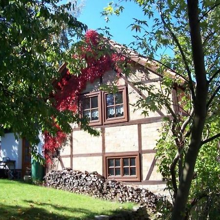 Ferienhaus Harz Villa Allrode Kültér fotó