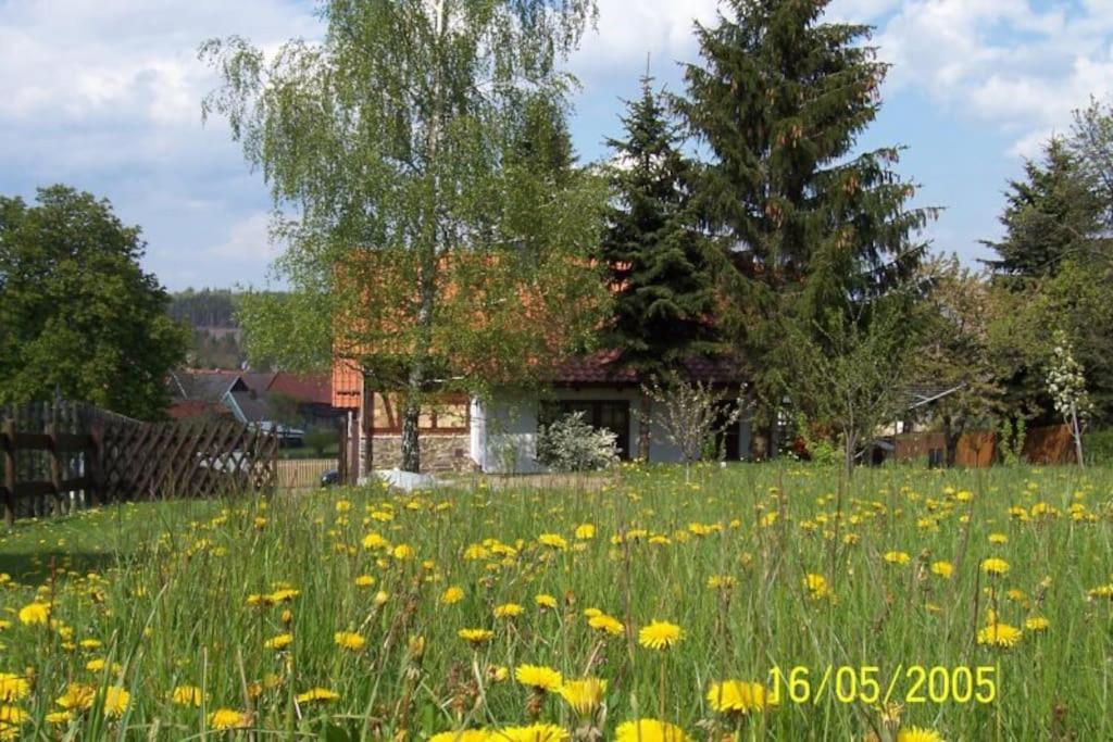 Ferienhaus Harz Villa Allrode Kültér fotó