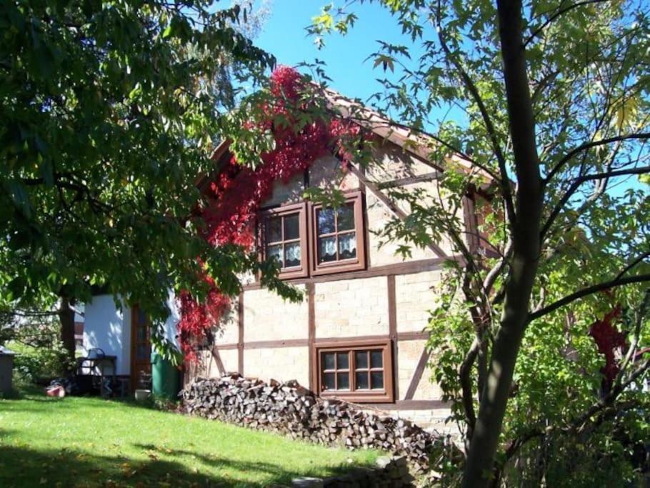 Ferienhaus Harz Villa Allrode Kültér fotó